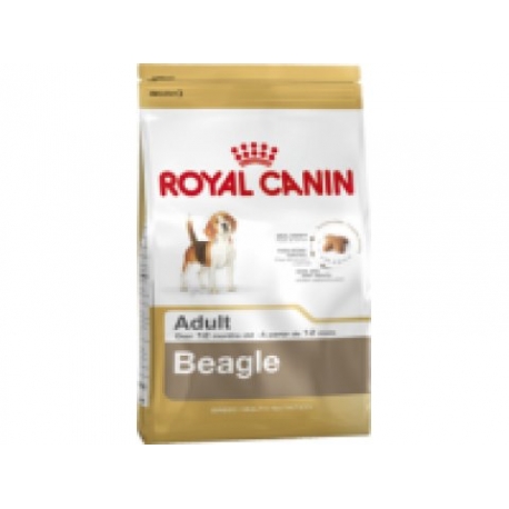 Beagle Adult  3  kilos
