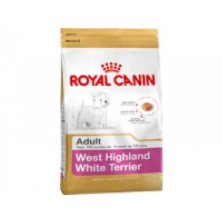 West Highland White Terrier Adult 1.5 kg