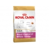 West Highland White Terrier Adult 1.5 kg