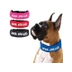 collar kool  para  perro refrescate .talla s