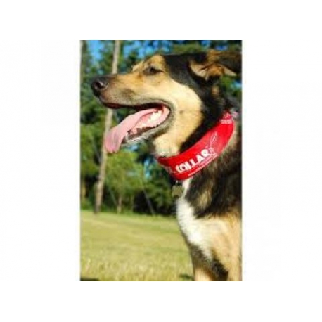 collar  kool refrescante  talla  m   cololr  rojo